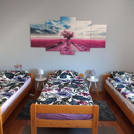 Studio Apartman Centar Огулин Экстерьер фото