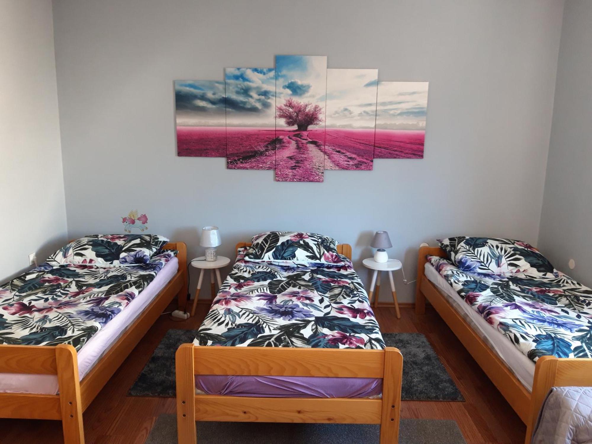 Studio Apartman Centar Огулин Экстерьер фото