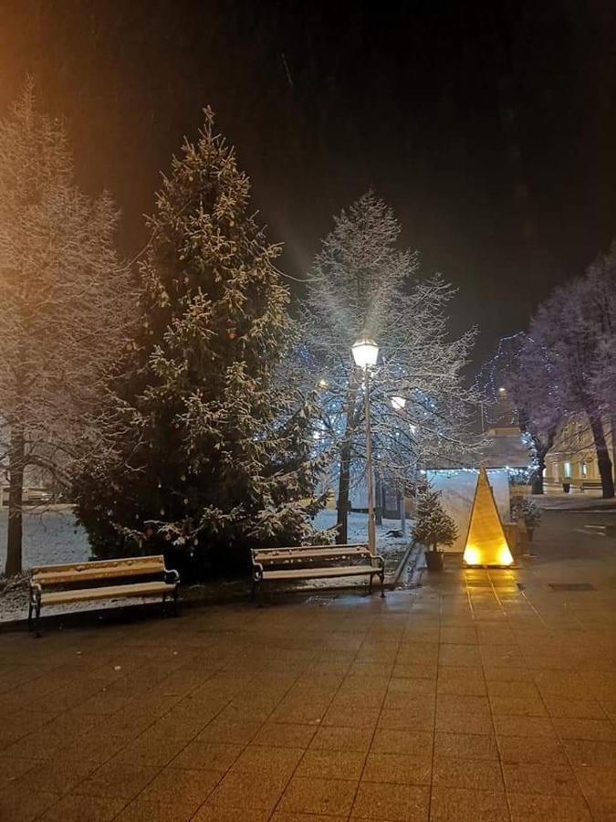 Studio Apartman Centar Огулин Экстерьер фото